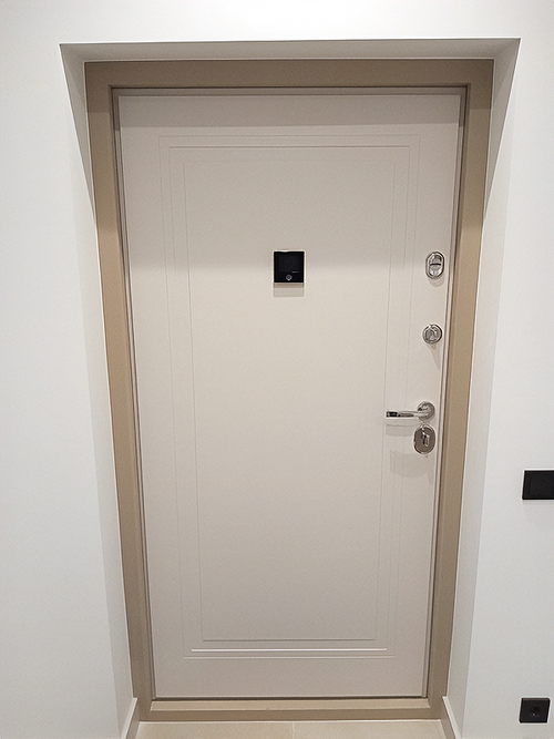 Дверь с видеоглазком